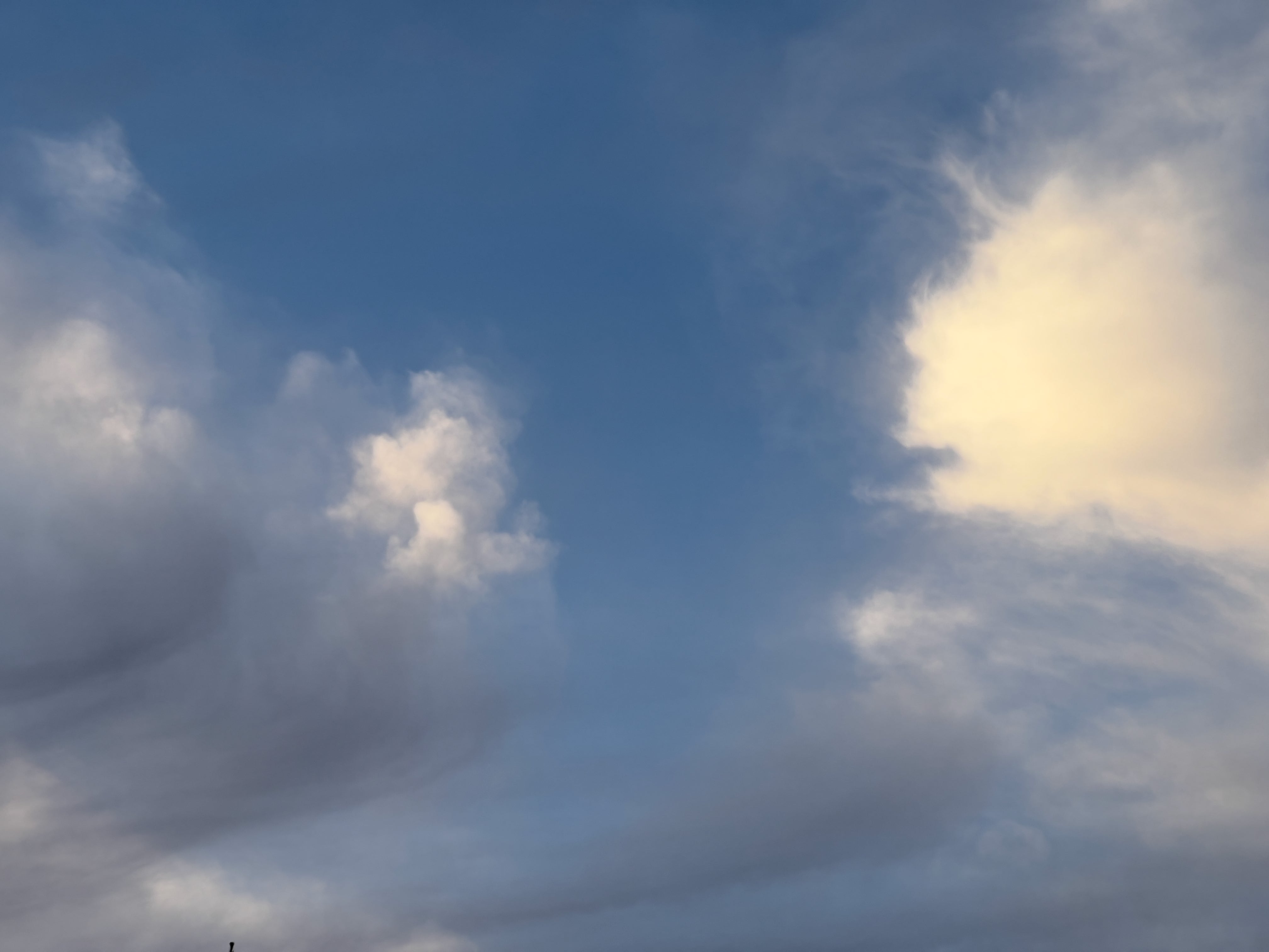 In the Manner of Constable.…